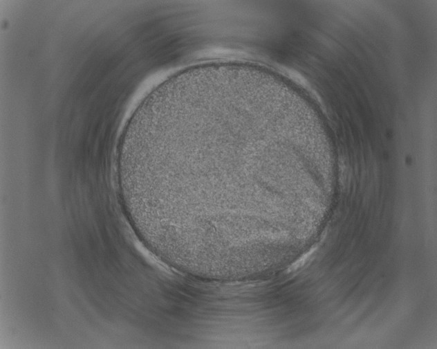 X0000067901421200605111905