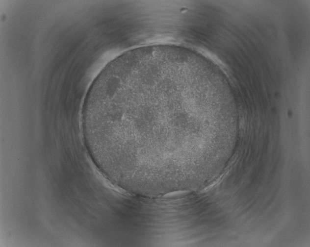 X0000067901423200605111905