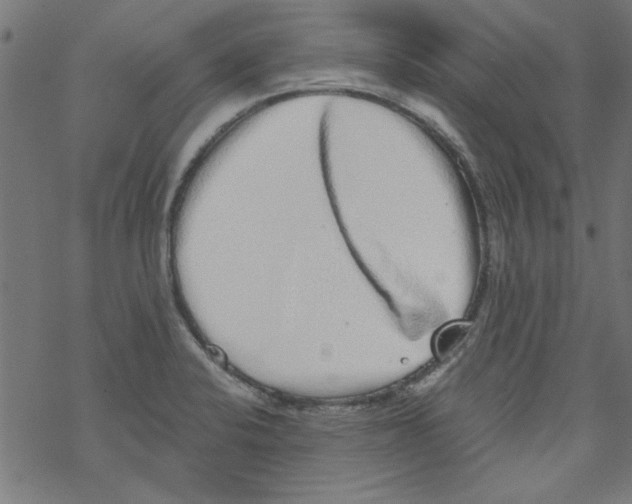 X0000067901424200605111905