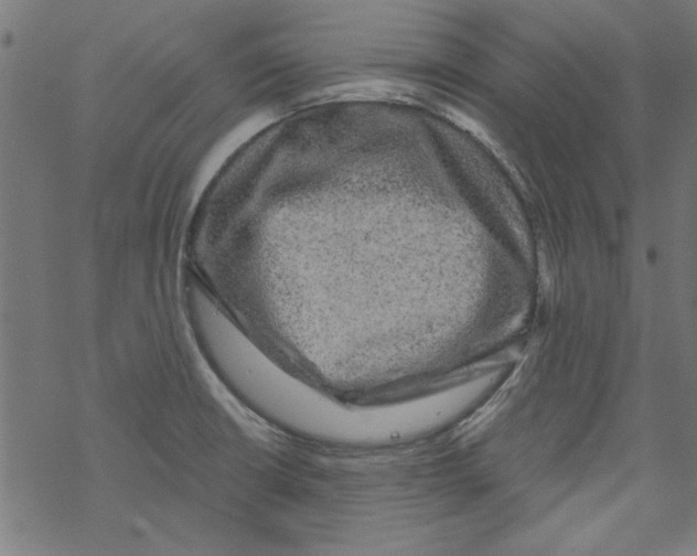 X0000067901426200605111905