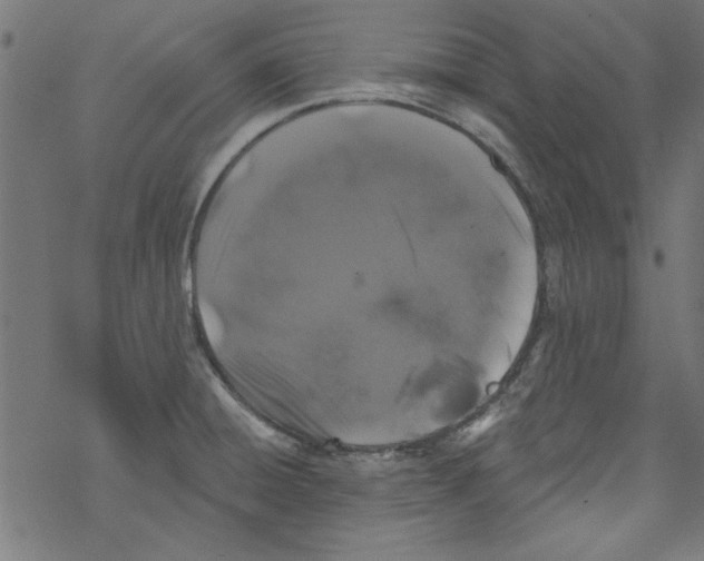 X0000067901428200605111906