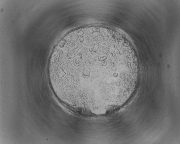 X0000067901429200605111906