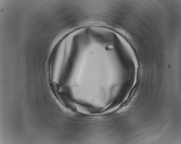 X0000067901430200605111906