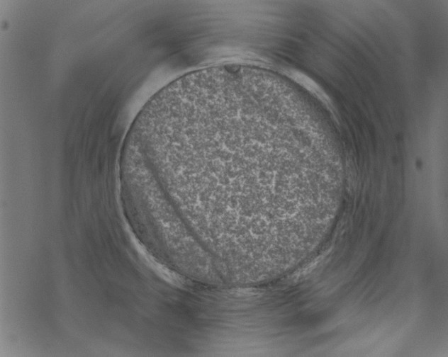 X0000067901431200605111906