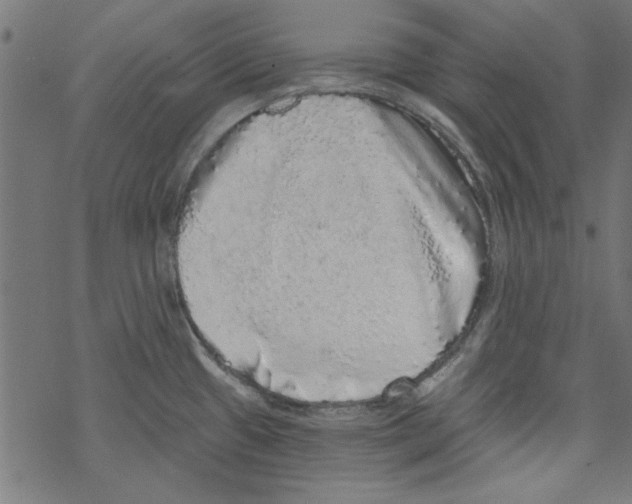 X0000067901433200605111906