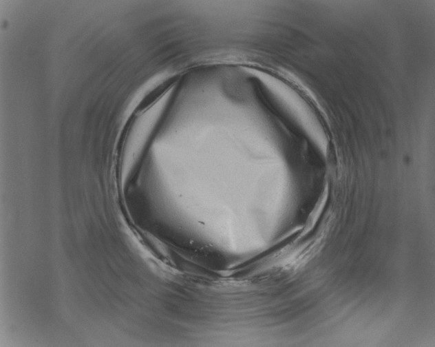 X0000067901434200605111906