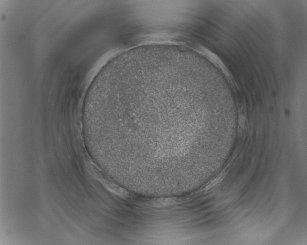 X0000067901435200605111906