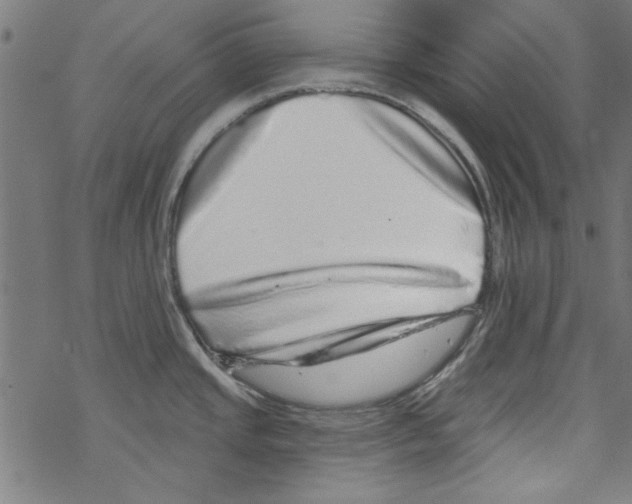 X0000067901437200605111906