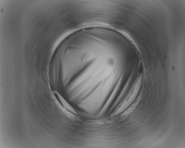 X0000067901438200605111906