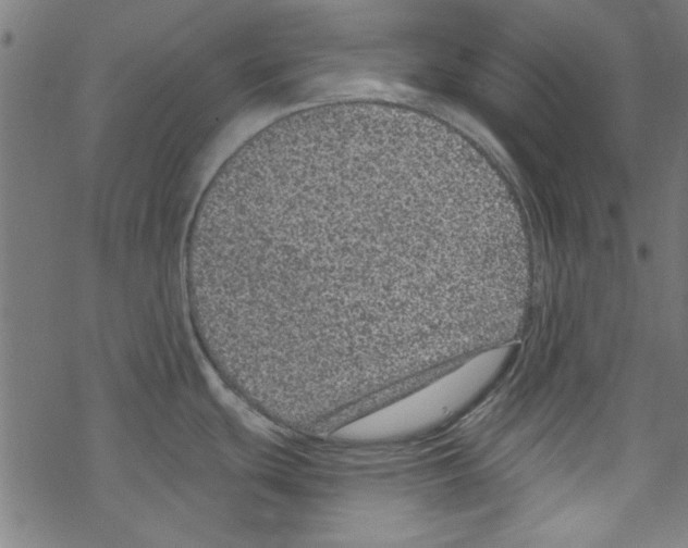 X0000067901439200605111906