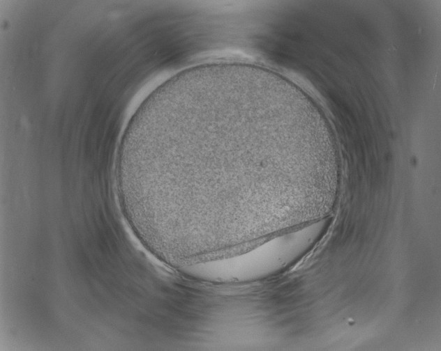 X0000067901440200605111906