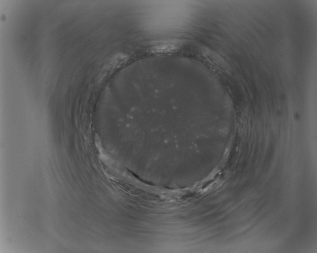 X0000067901441200605111905