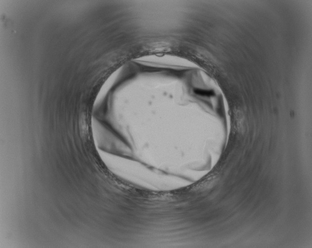 X0000067901442200605111905