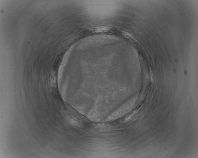 X0000067901443200605111905