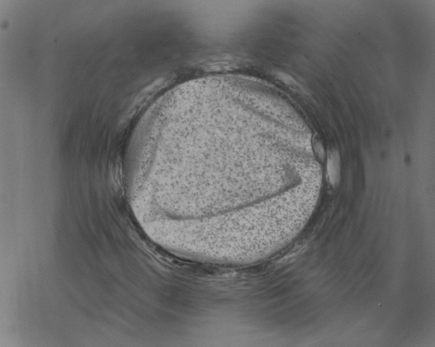 X0000067901444200605111905