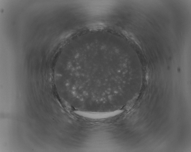 X0000067901445200605111905