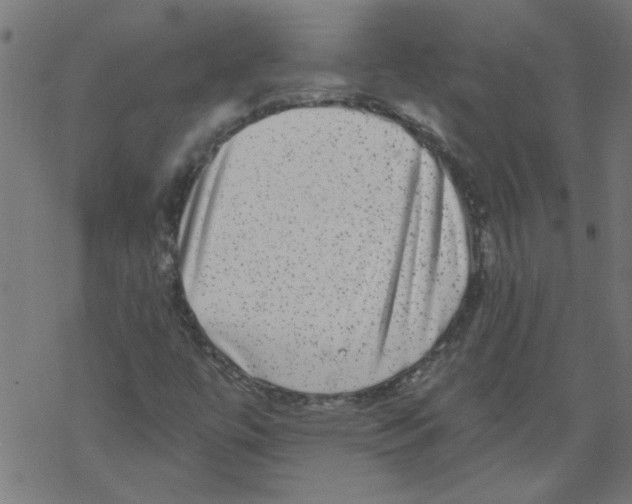 X0000067901447200605111905