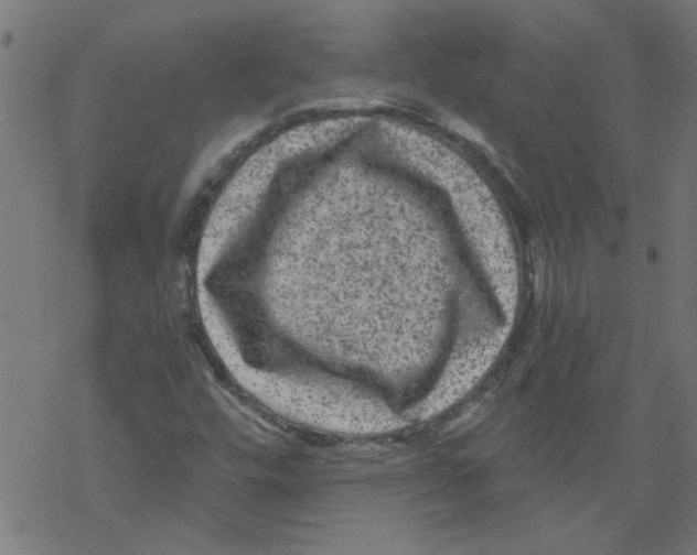 X0000067901448200605111905