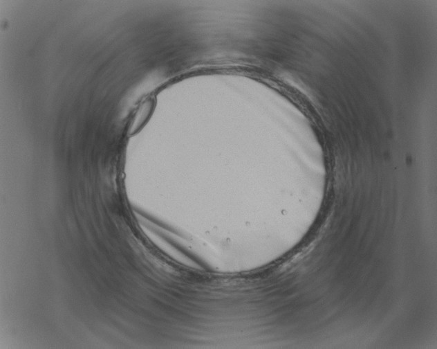 X0000067901451200605111905