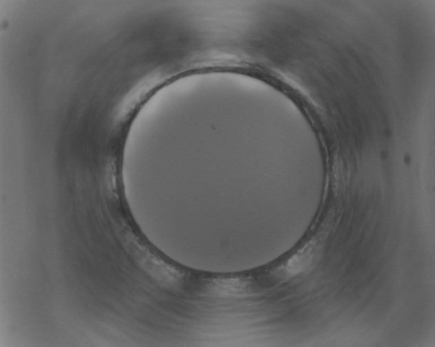 X0000067901455200605111905