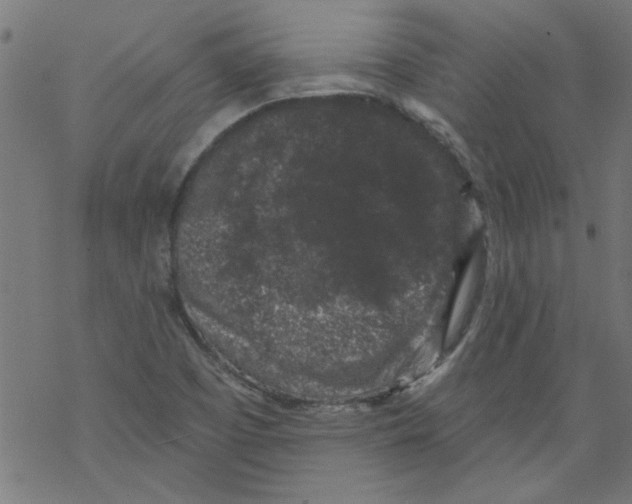 X0000067901457200605111905