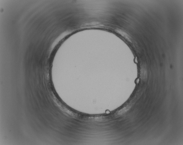 X0000067901458200605111905