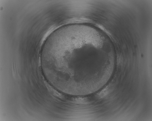 X0000067901459200605111905