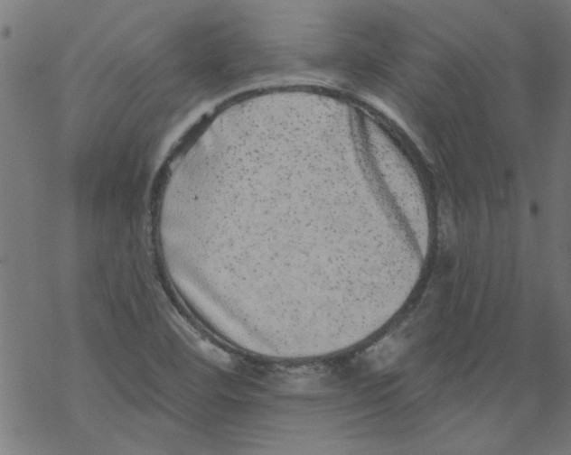 X0000067901460200605111905