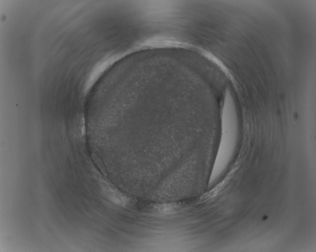 X0000067901461200605111905