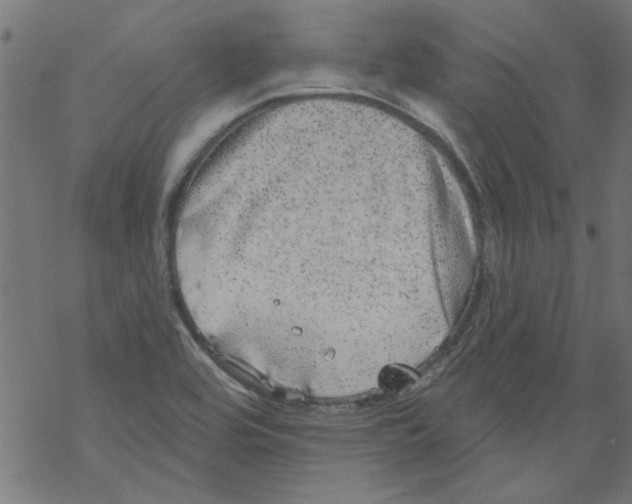 X0000067901464200605111905