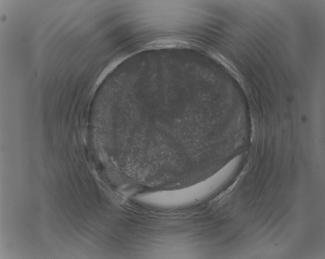 X0000067901465200605111905