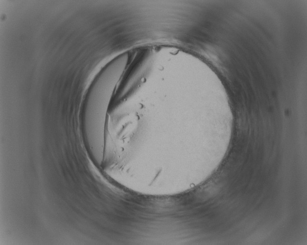 X0000067901468200605111904