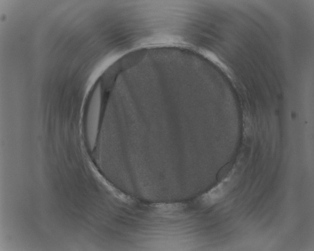 X0000067901469200605111904