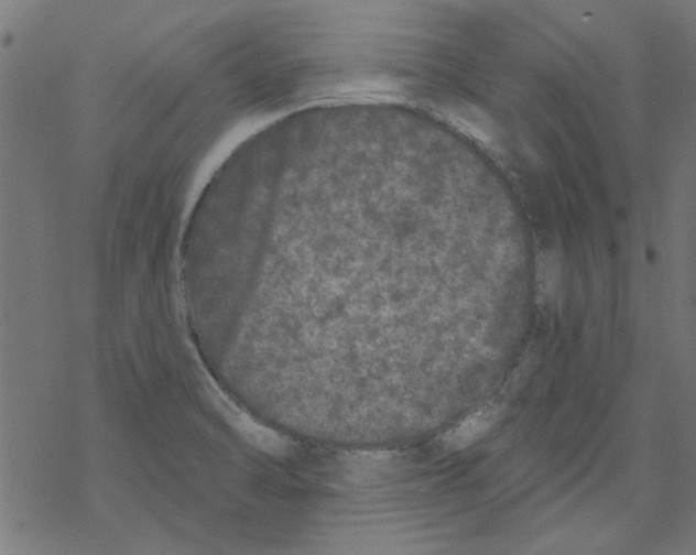 X0000067901470200605111904