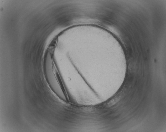 X0000067901472200605111904