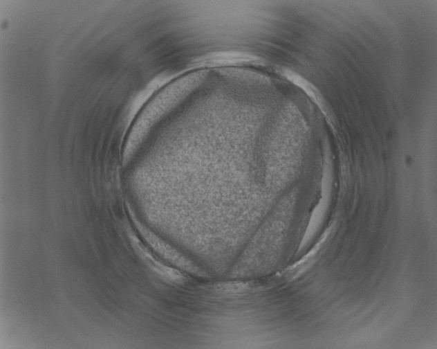 X0000067901473200605111904