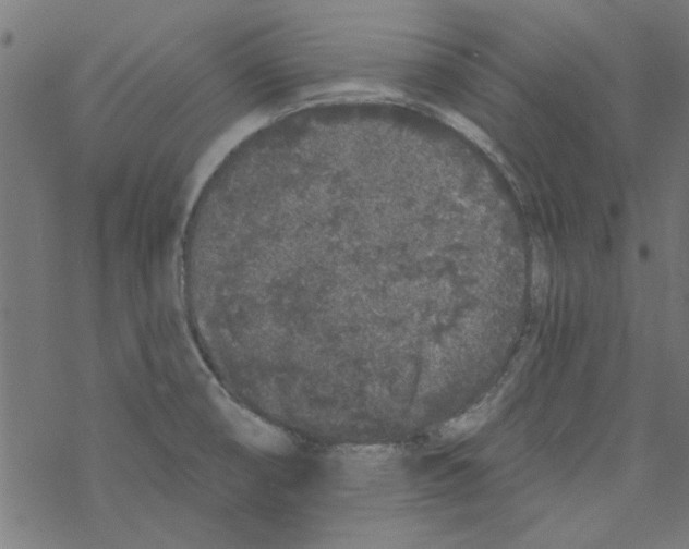 X0000067901474200605111904