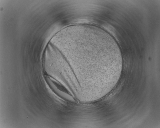 X0000067901475200605111904