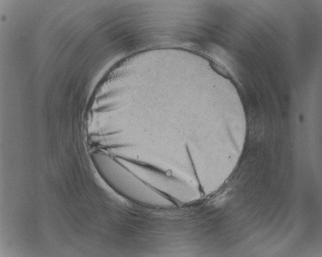 X0000067901476200605111904