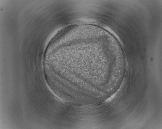 X0000067901477200605111904