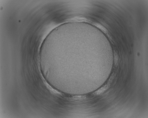 X0000067901478200605111904