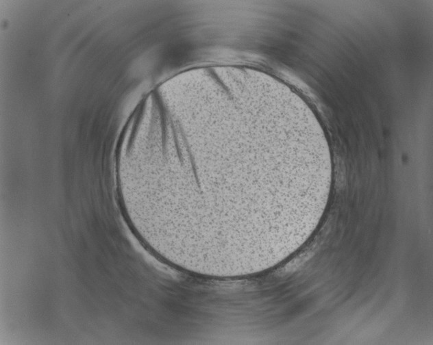 X0000067901479200605111904