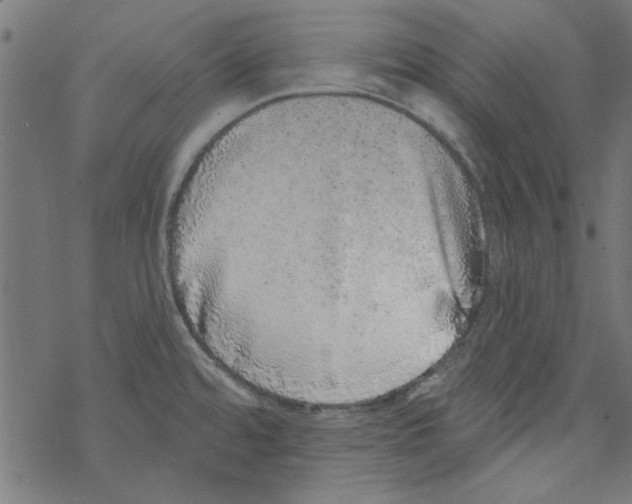 X0000067901480200605111904