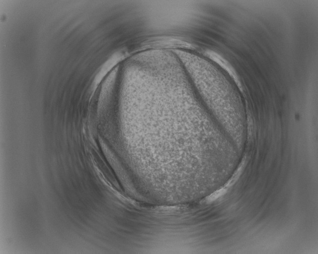 X0000067901481200605111904