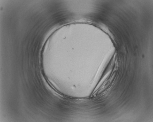 X0000067901483200605111904