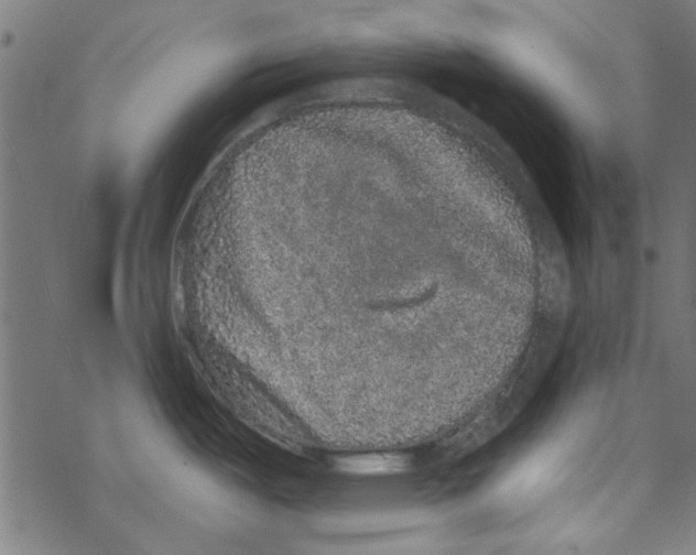 X0000067901487200605111904