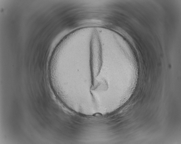 X0000067901488200605111904