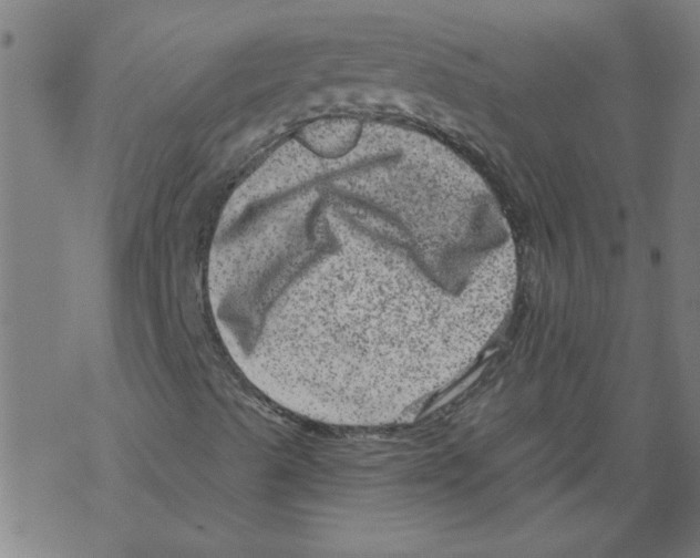 X0000067901489200605111903