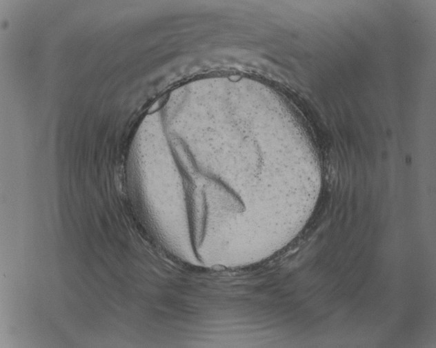 X0000067901490200605111903