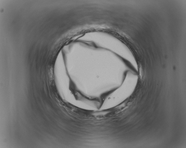 X0000067901492200605111903